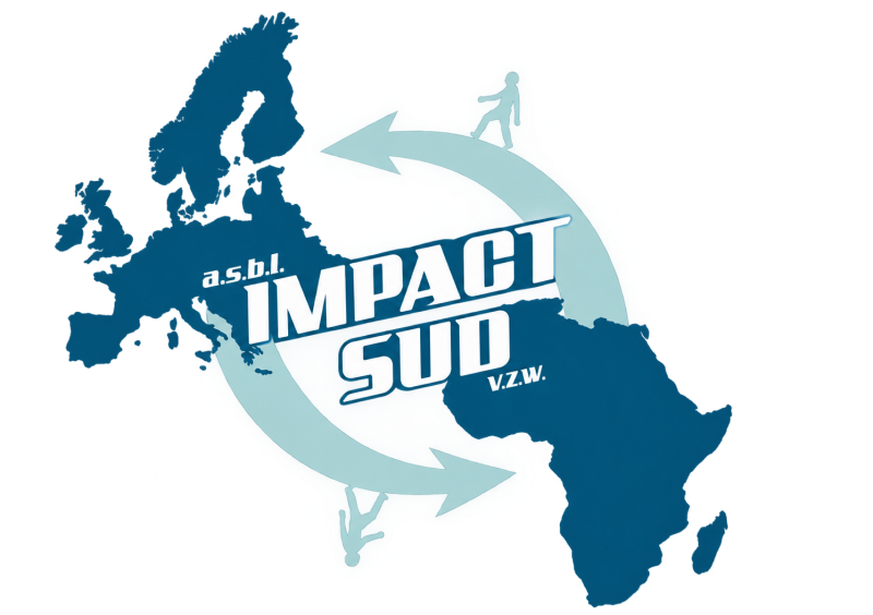 Logo Impact Sud